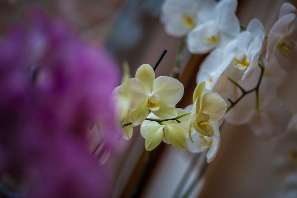 Rene'S B&B Kerkrade Ngoại thất bức ảnh